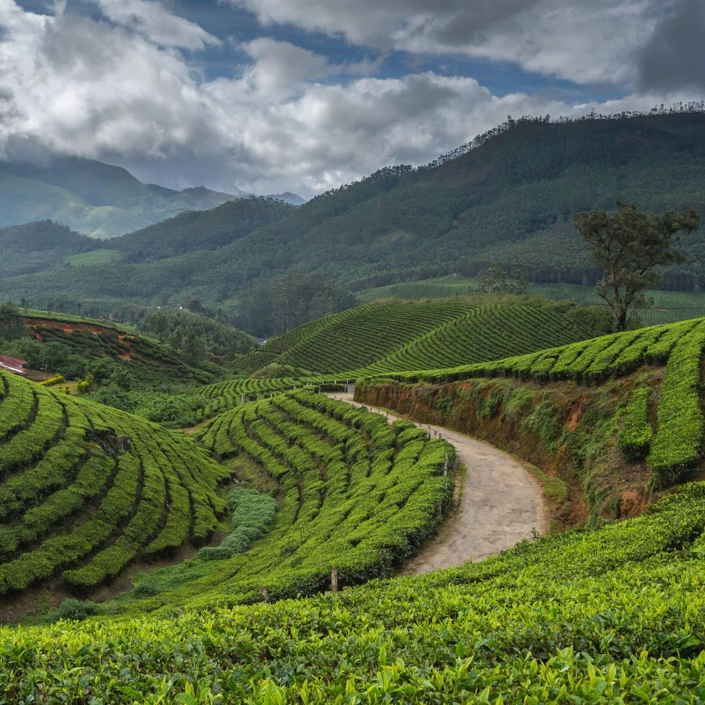 image of monsoon destinations in india