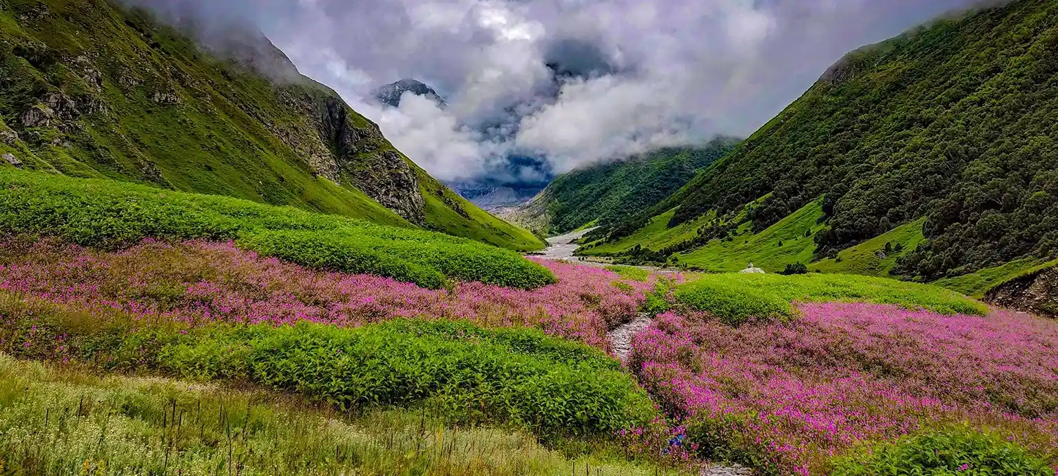 Valley of Flowers Uttarakhand alpine bloom monsoon trek
