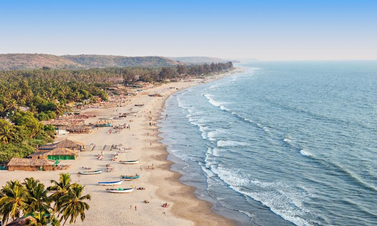 Palm-fringed beach in North Goa during winter