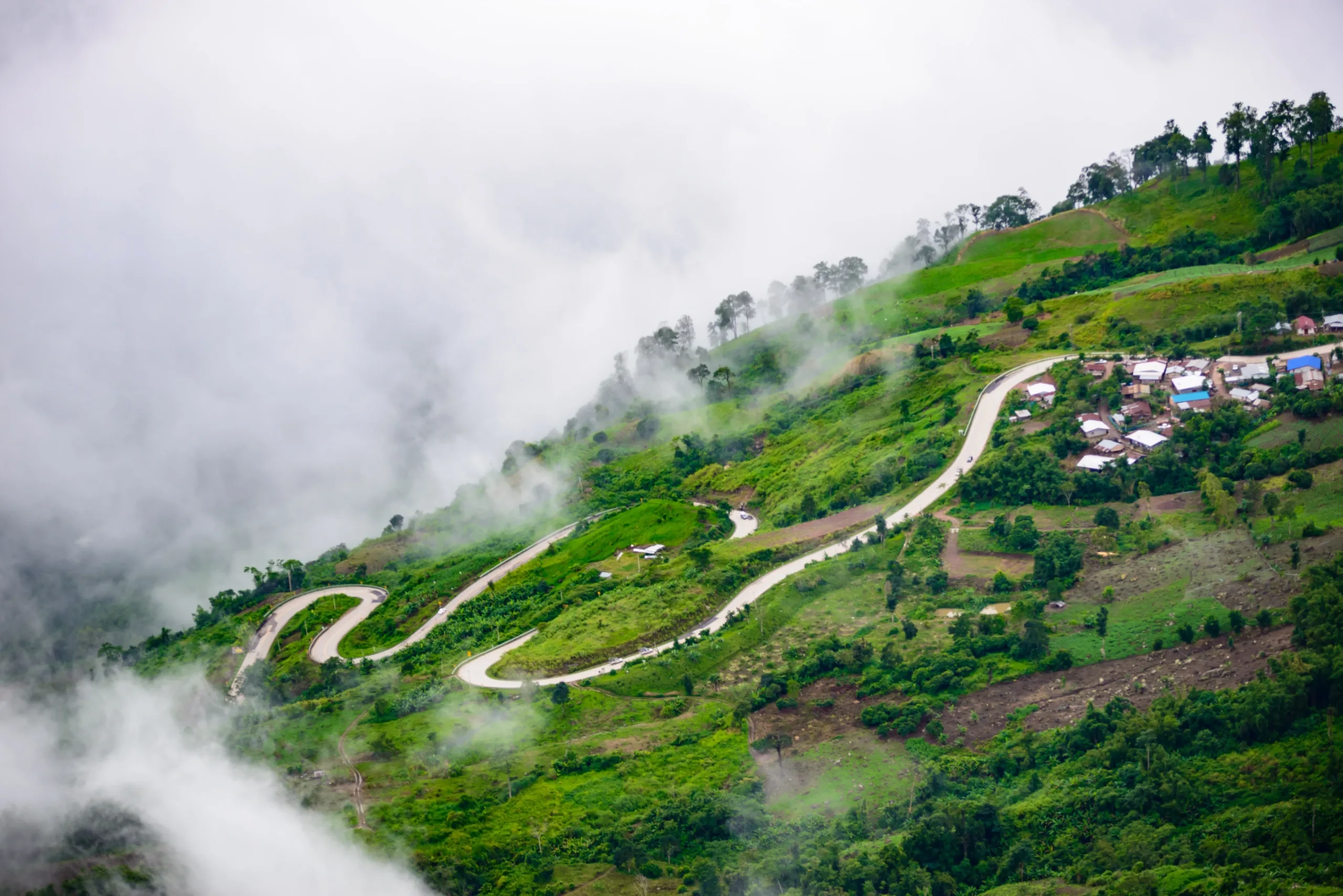 Misty coffee plantation in Coorg during January