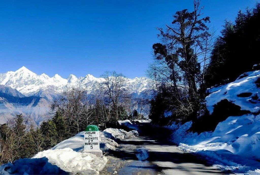 Delhi to Munsiyari Road Trip