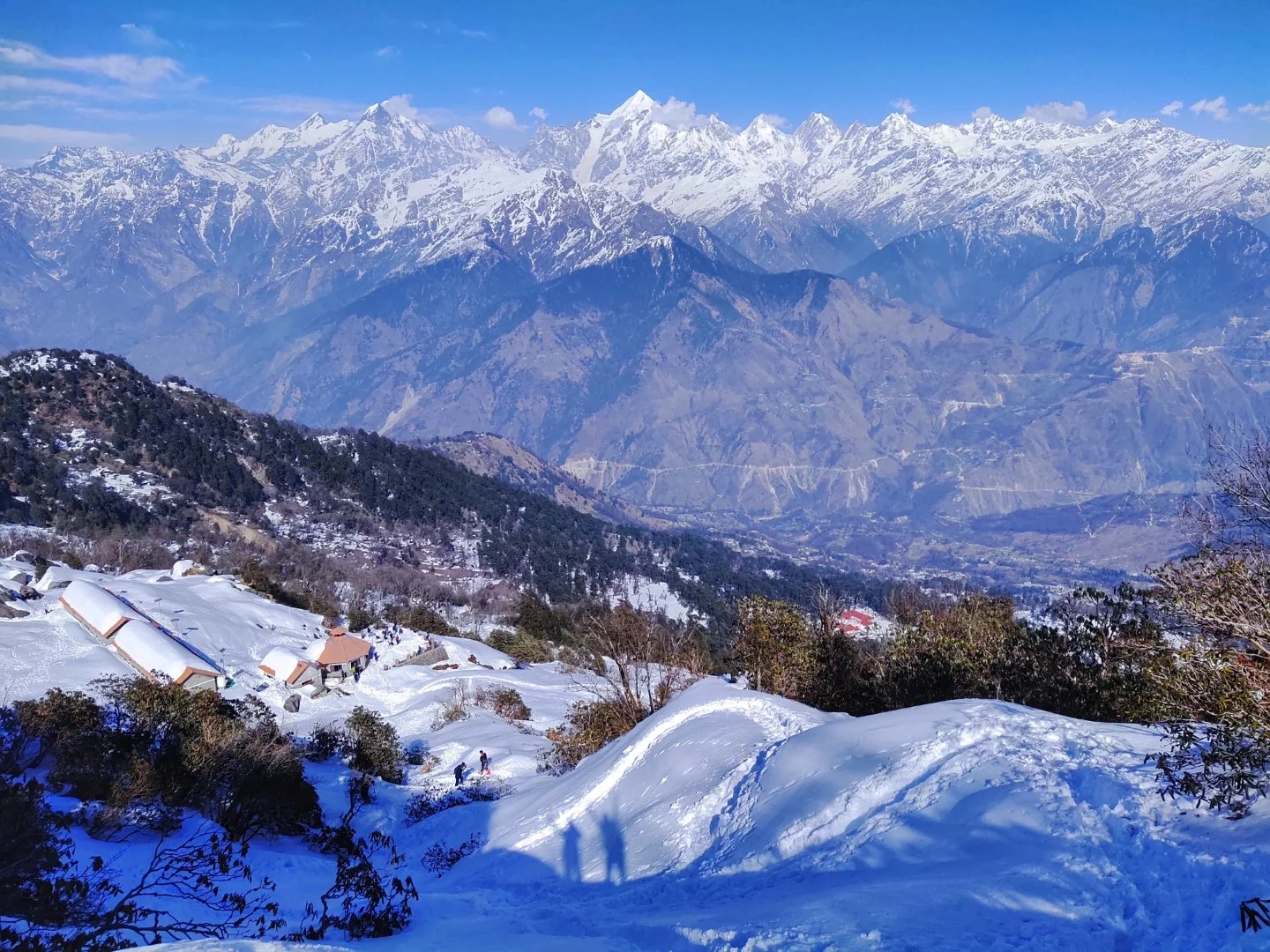 Khaliya Top trek trail near Munsiyari with snow-capped mountains