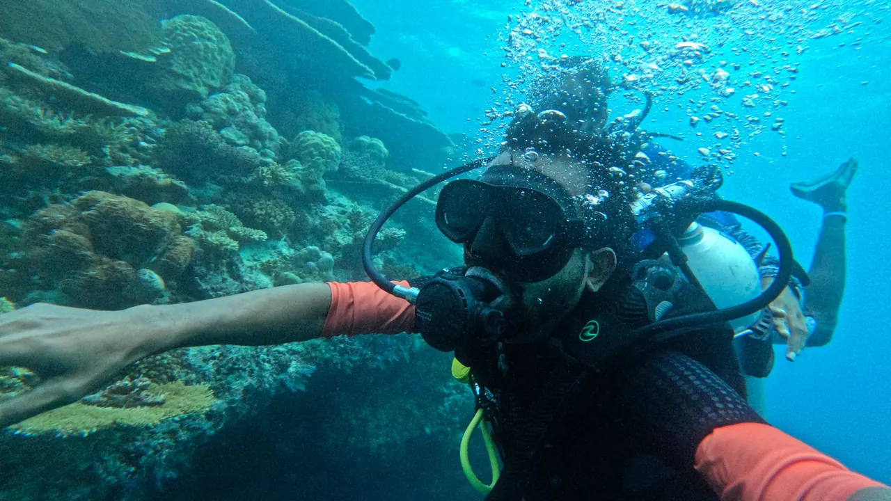 Diver exploring coral and reef fish on a Maldives house reef