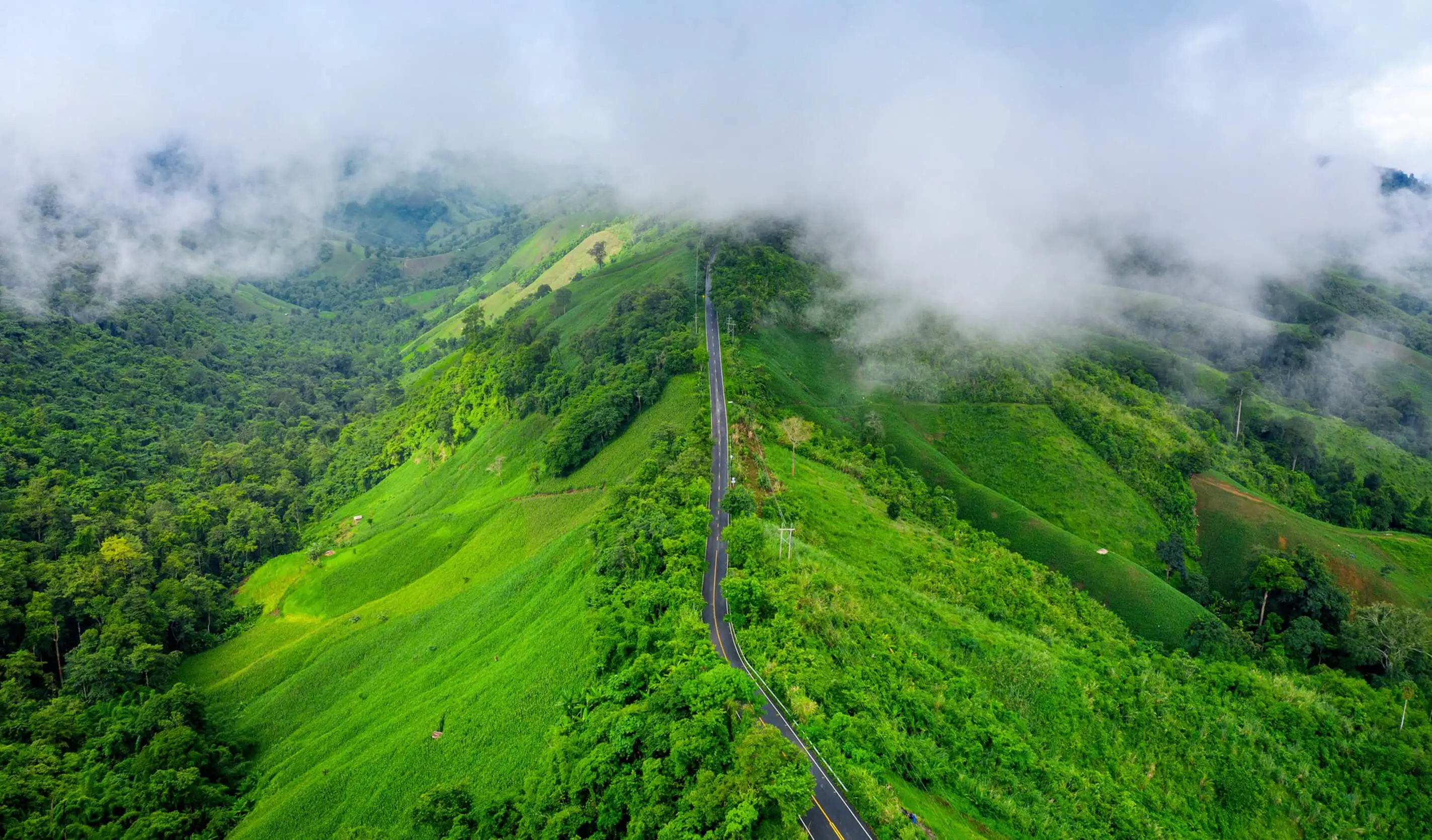 Beer, Wine & Coffee Trails of Karnataka