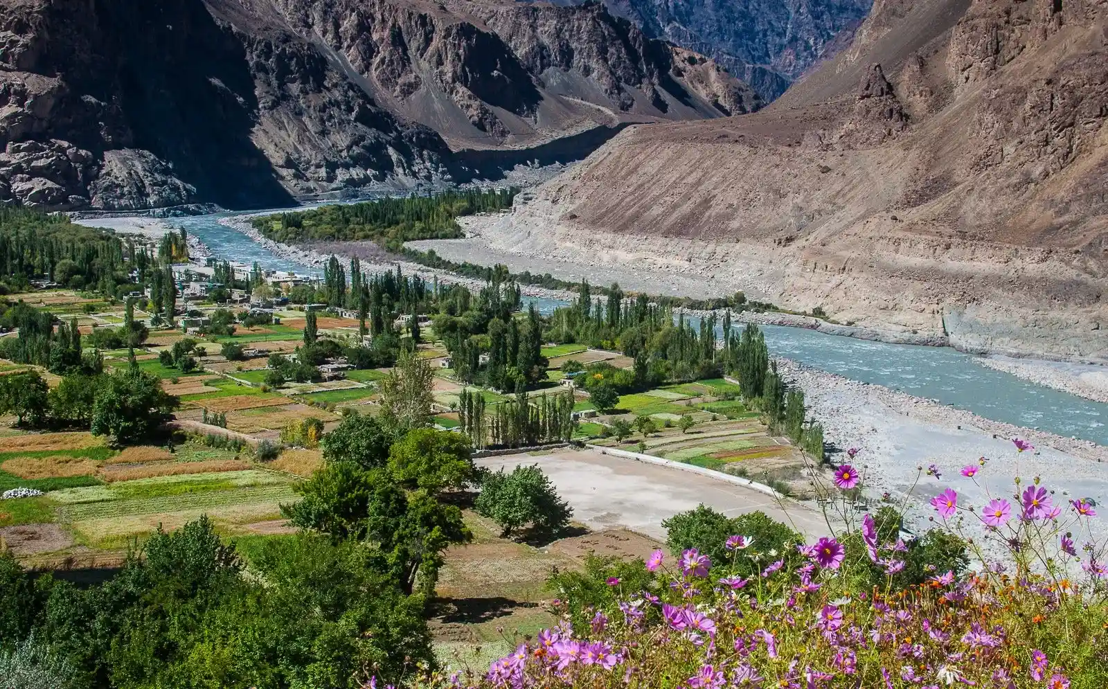 Ladakh mountain landscape with prayer flags