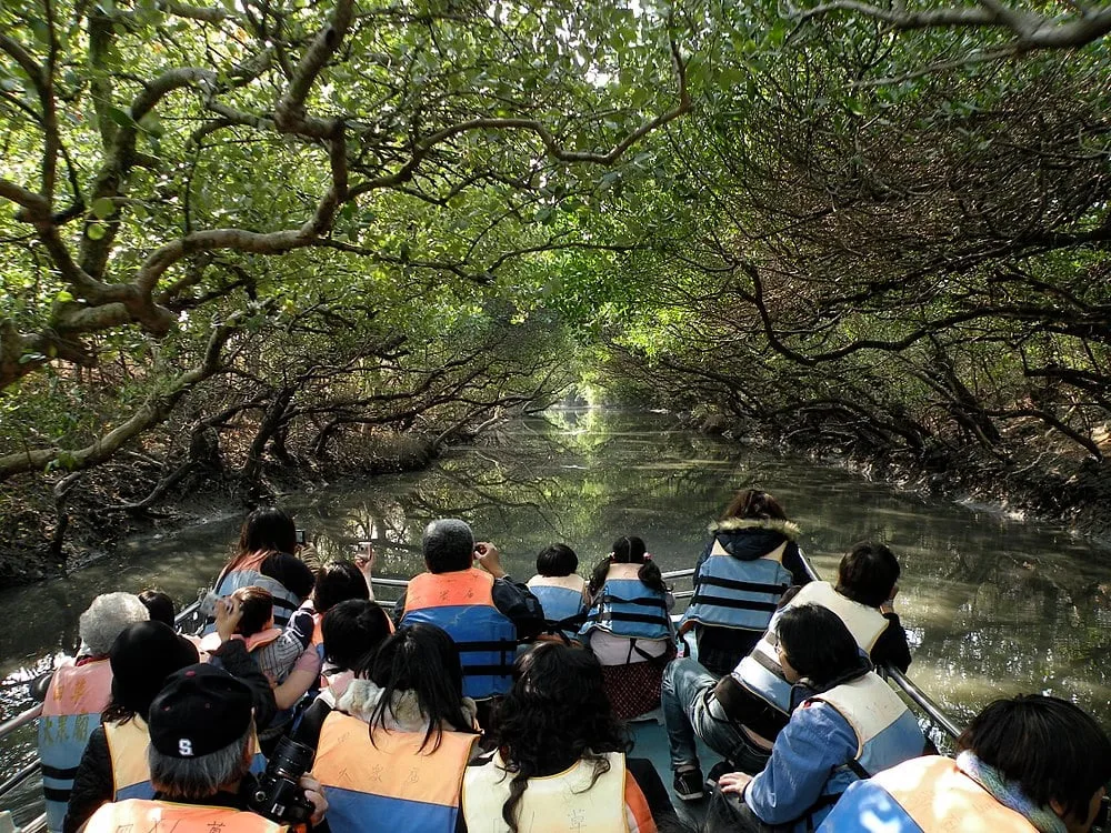 bhitarkanika wilflife
