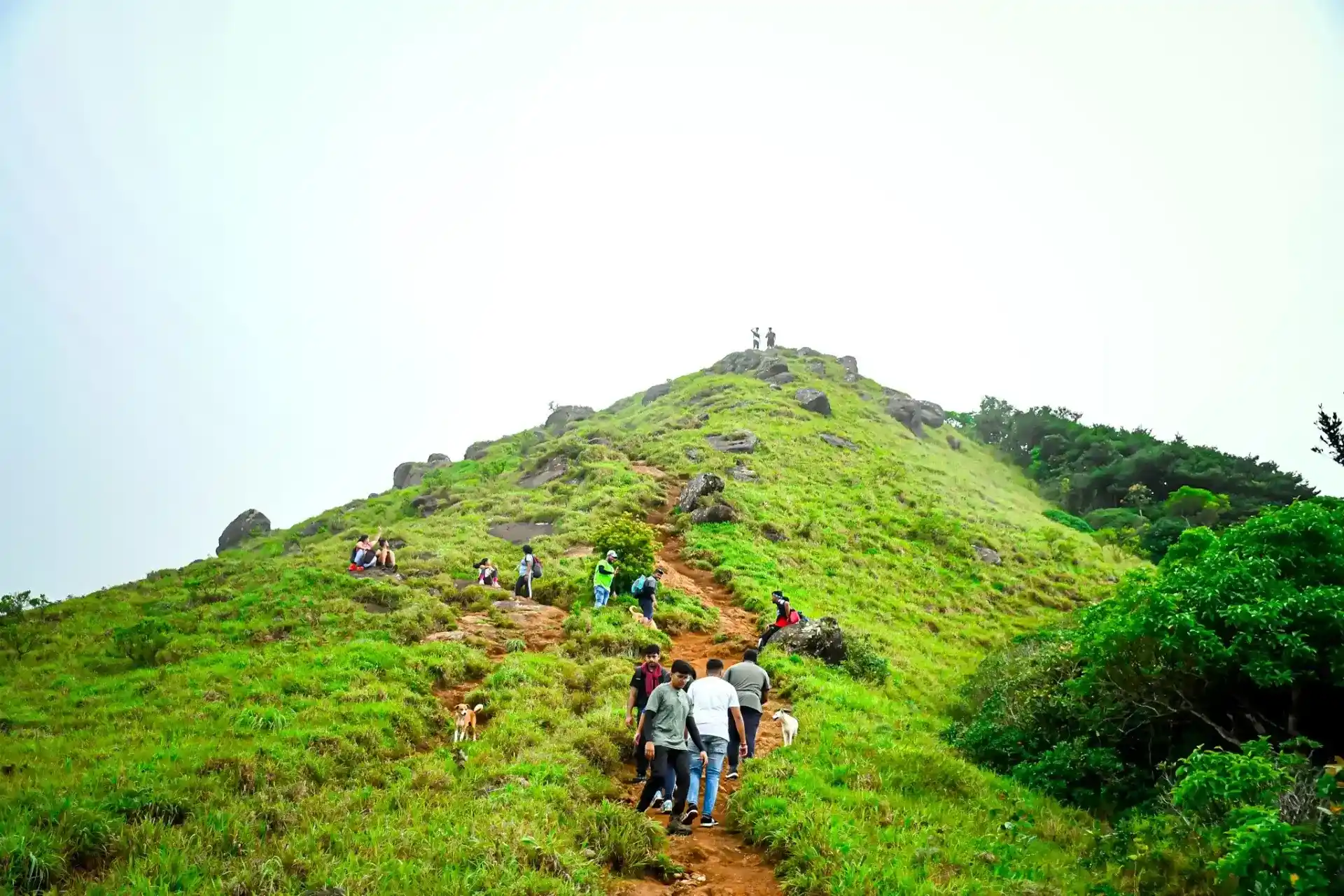 Adventure activities and nature trails in Coorg hills