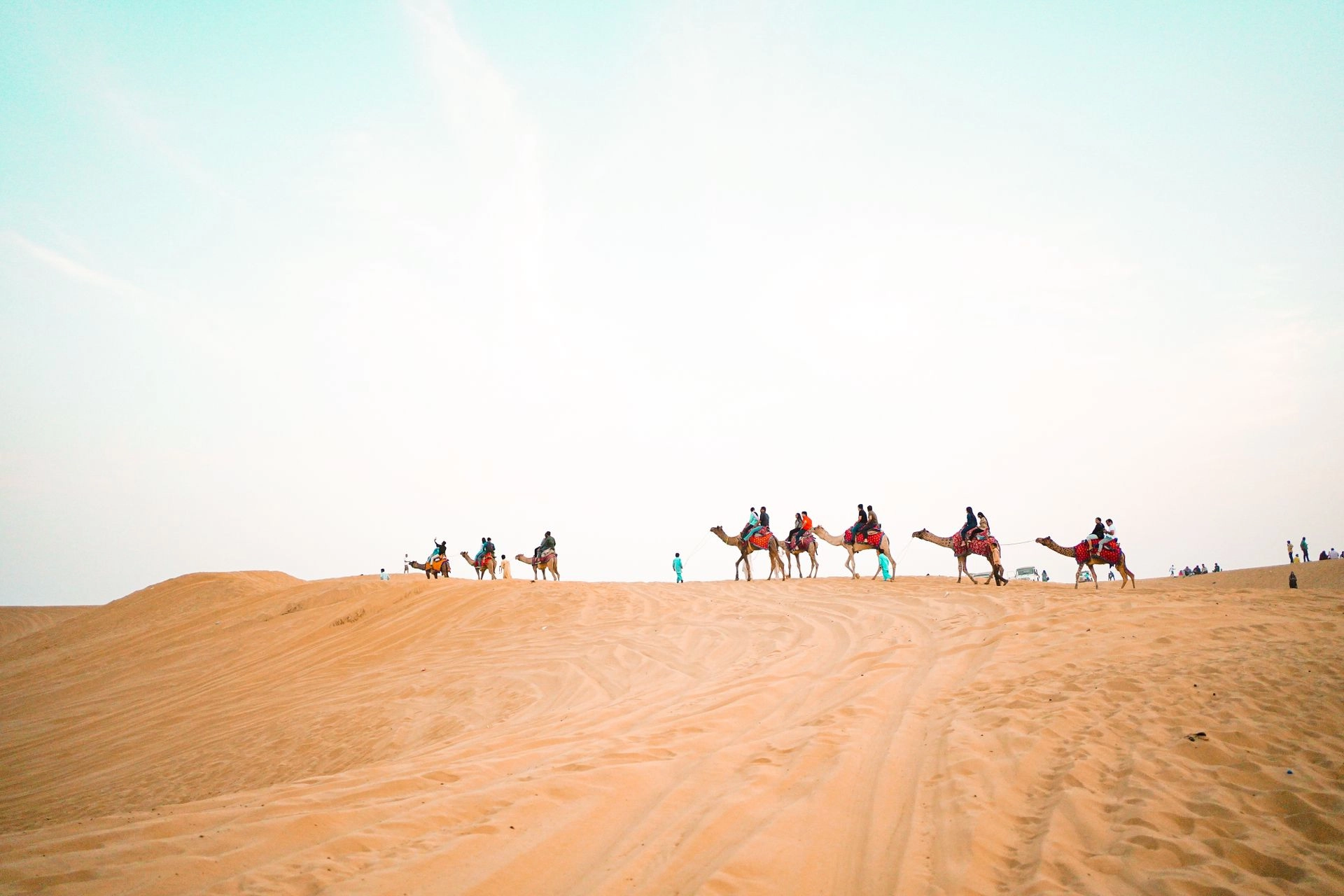 Sam Sand Dunes at sunset in Jaisalmer, Rajasthan