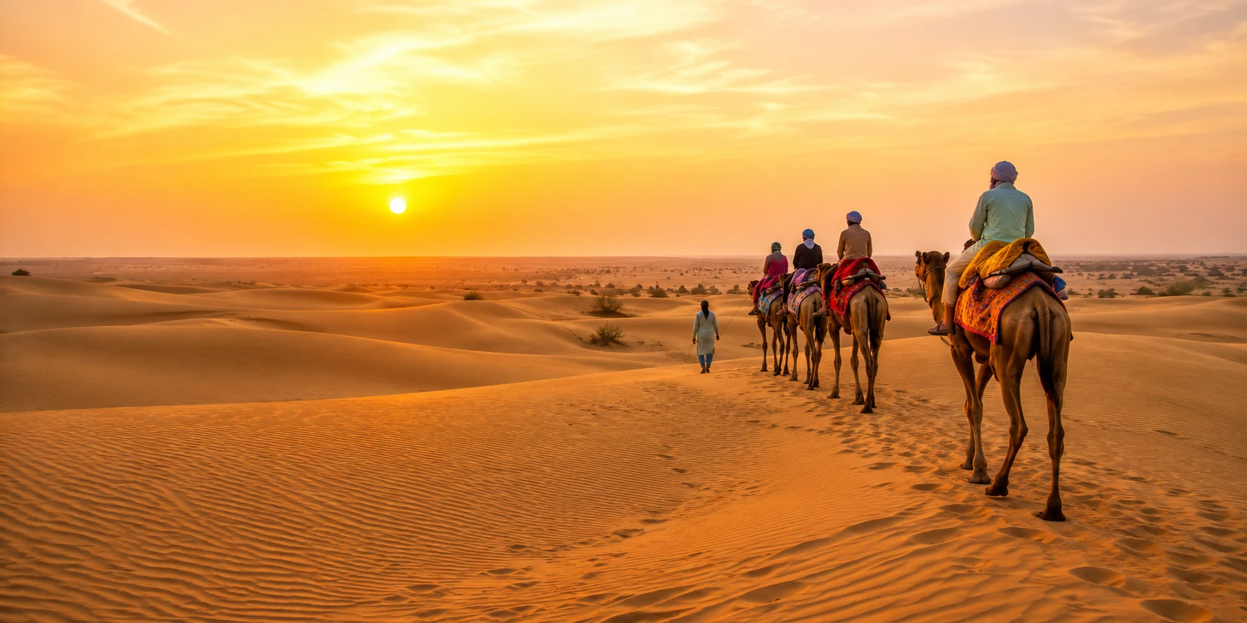 Desert Trails