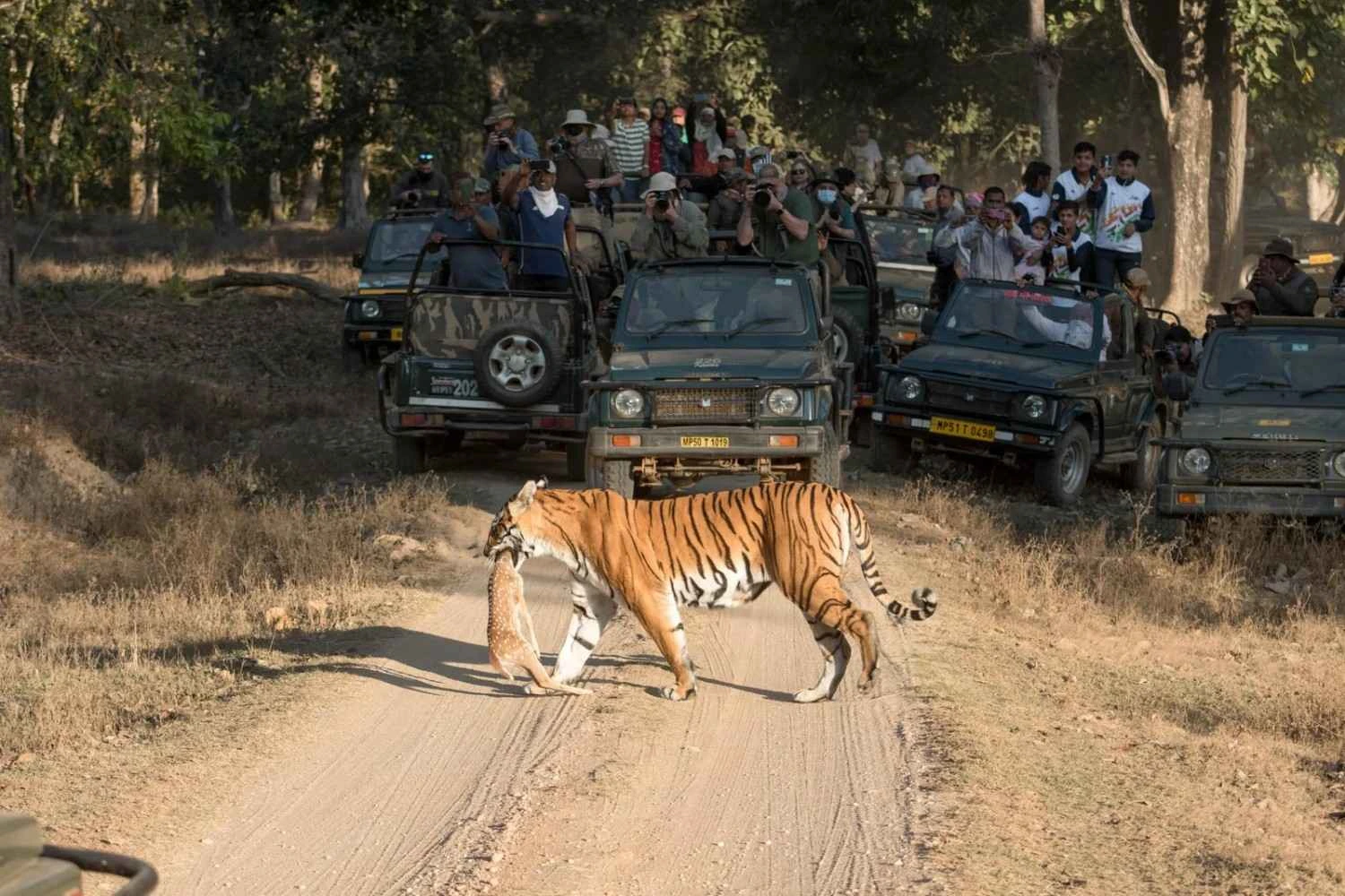 Kanha National Park