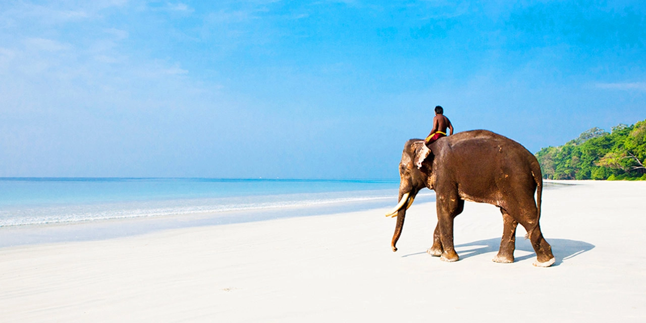 elephanta-beach