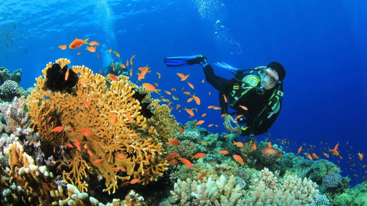 snorkeling-activities