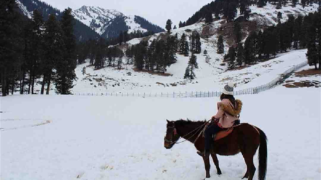 pony-ride.