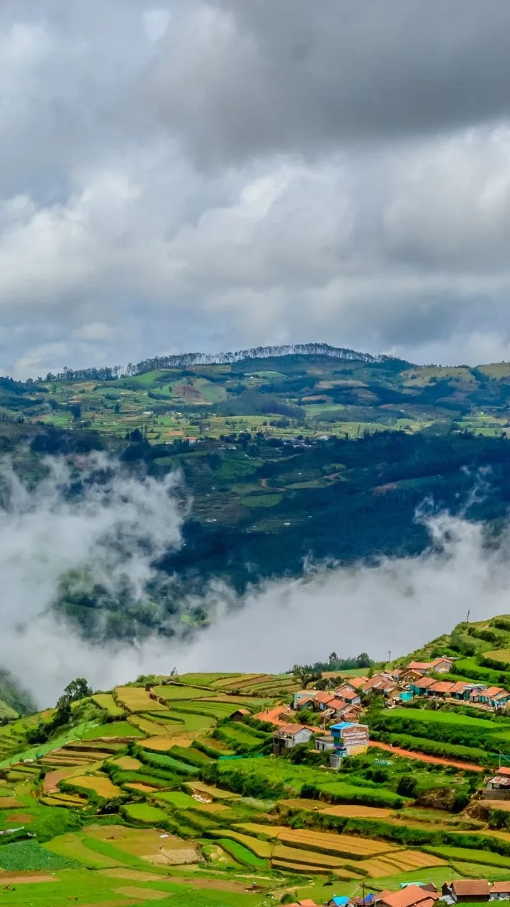 Rose gardens and misty hills of Ooty, Nilgiris Tamil Nadu