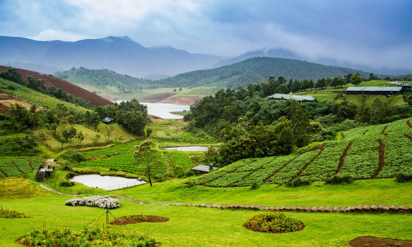 Hills Of Heaven
