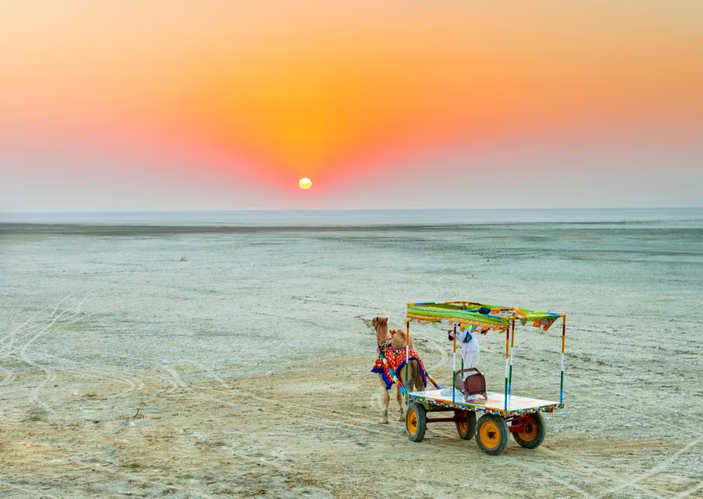 Salt Desert