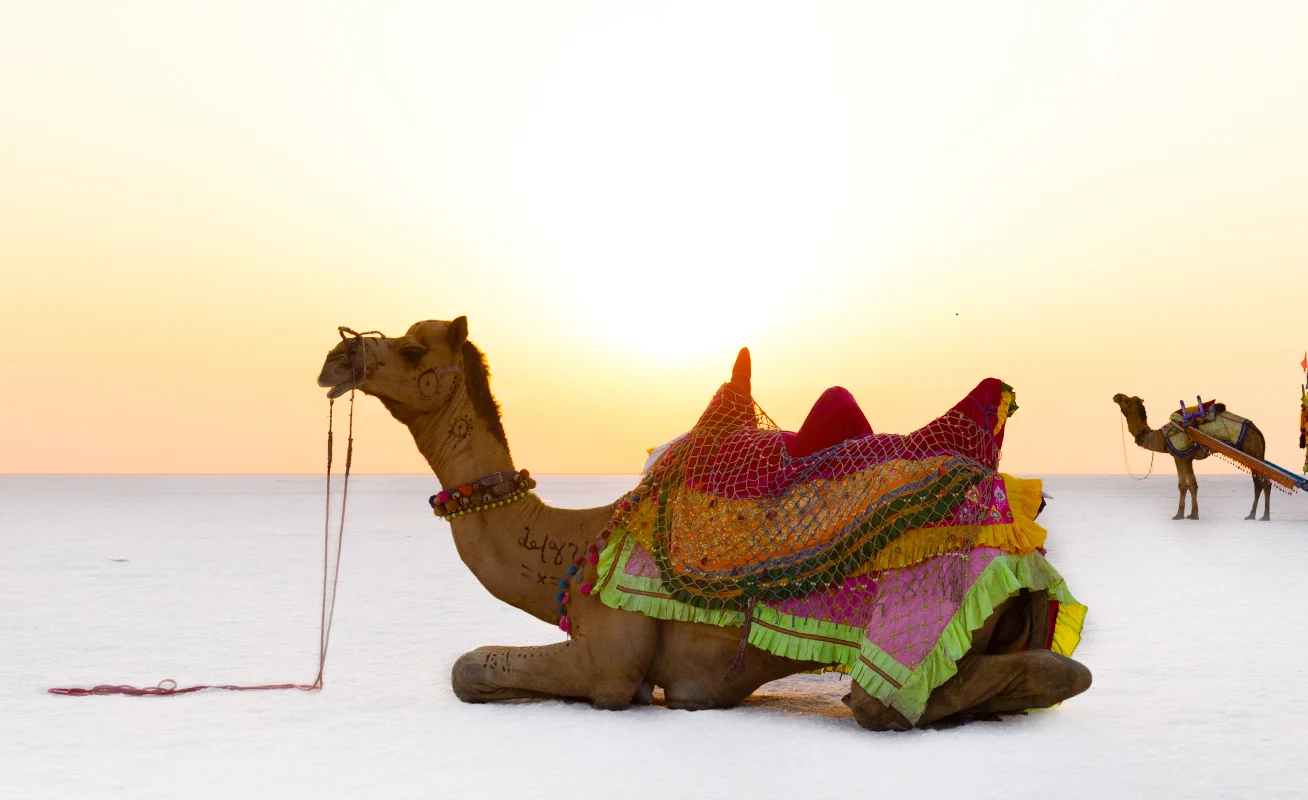 White salt desert of Rann of Kutch at sunset