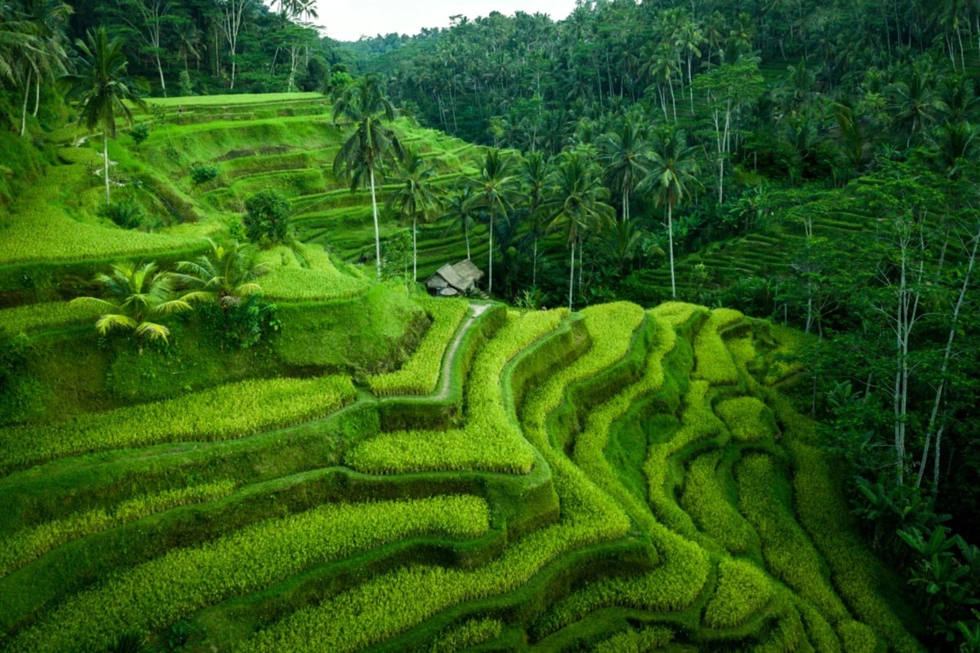 image of bali indonesia