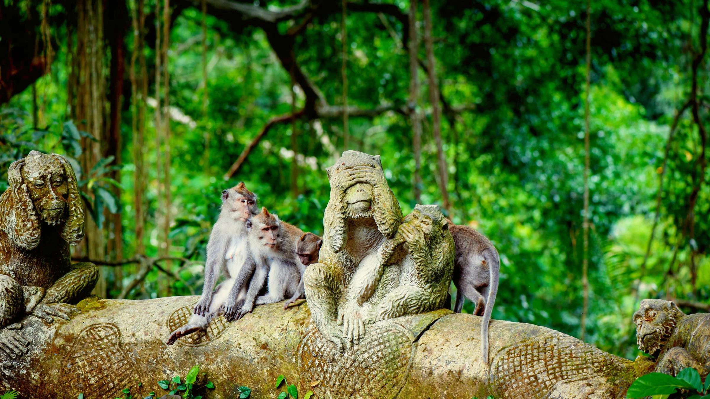 image of bali indonesia