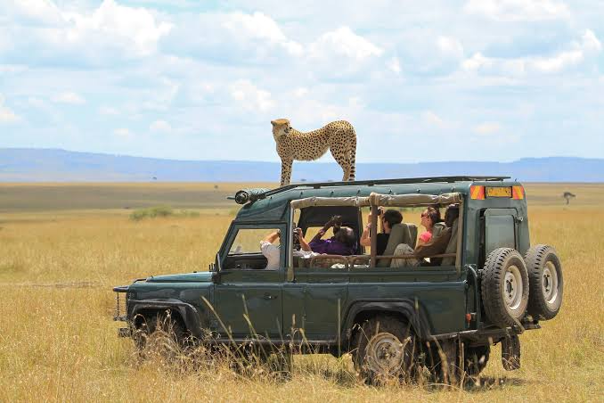image of south africa