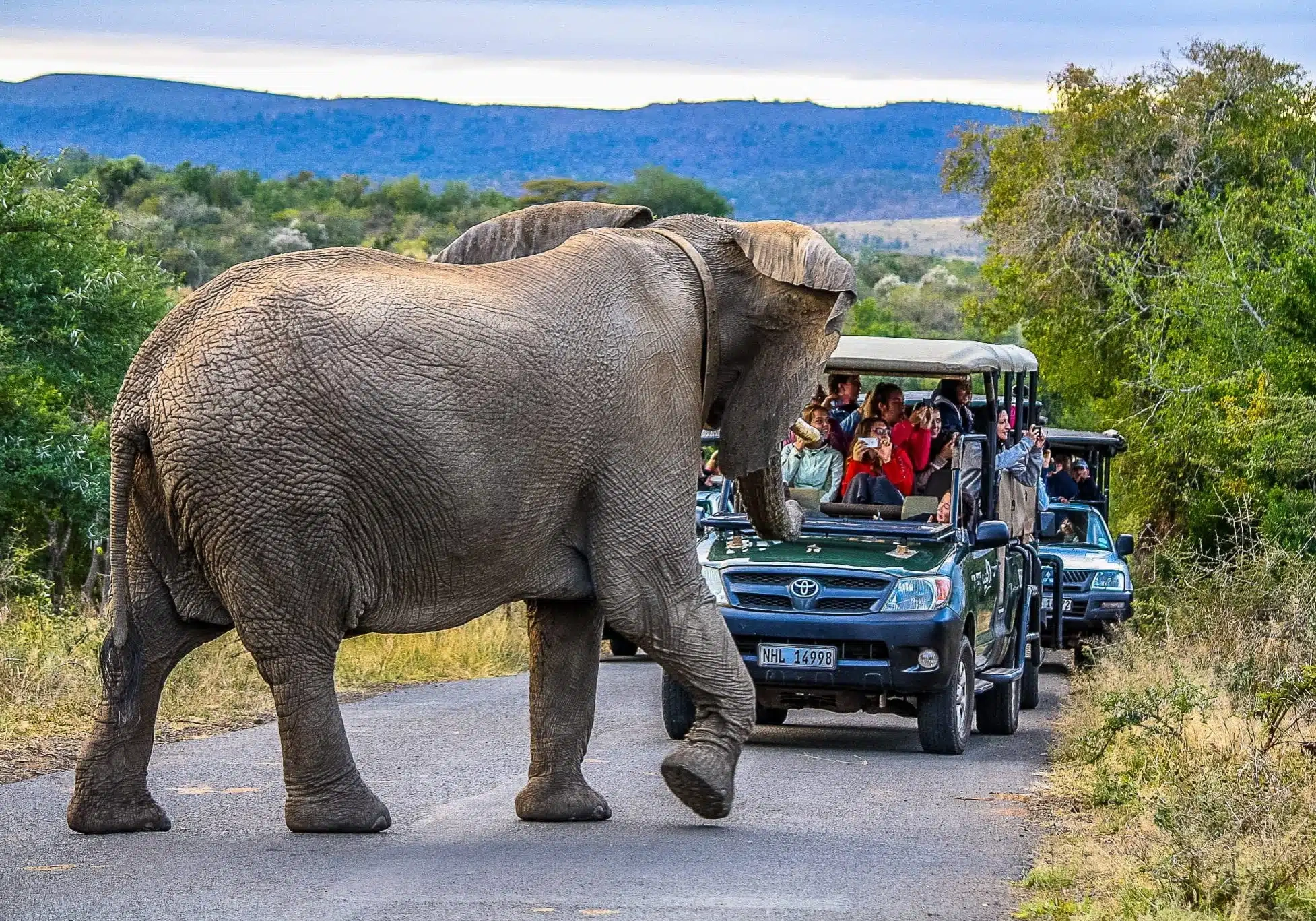 image of south africa