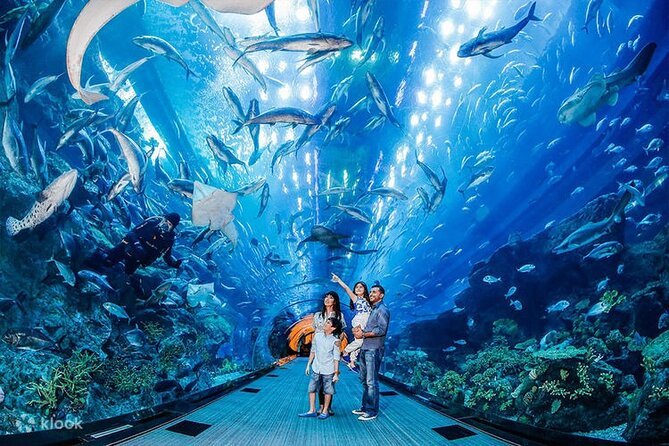 image of aquarium