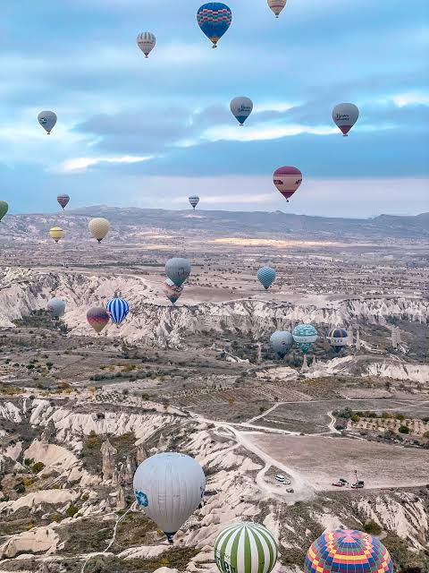 image of turkey