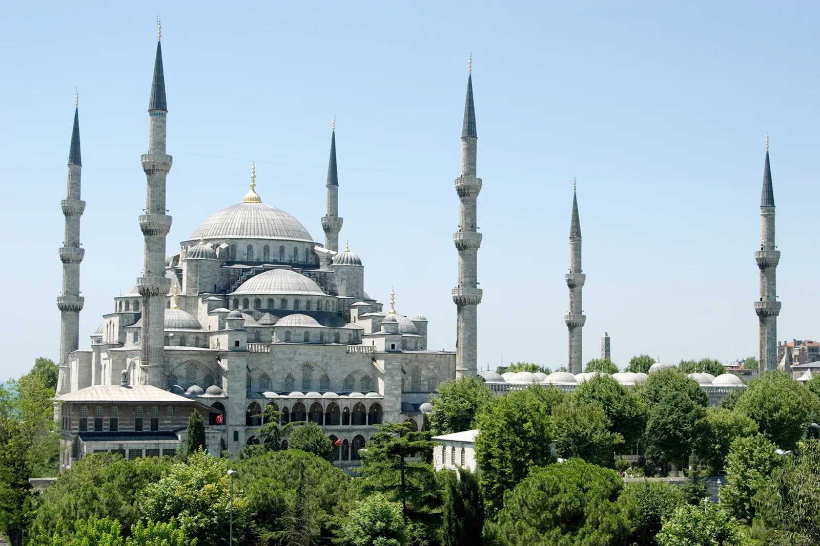 image of turkey