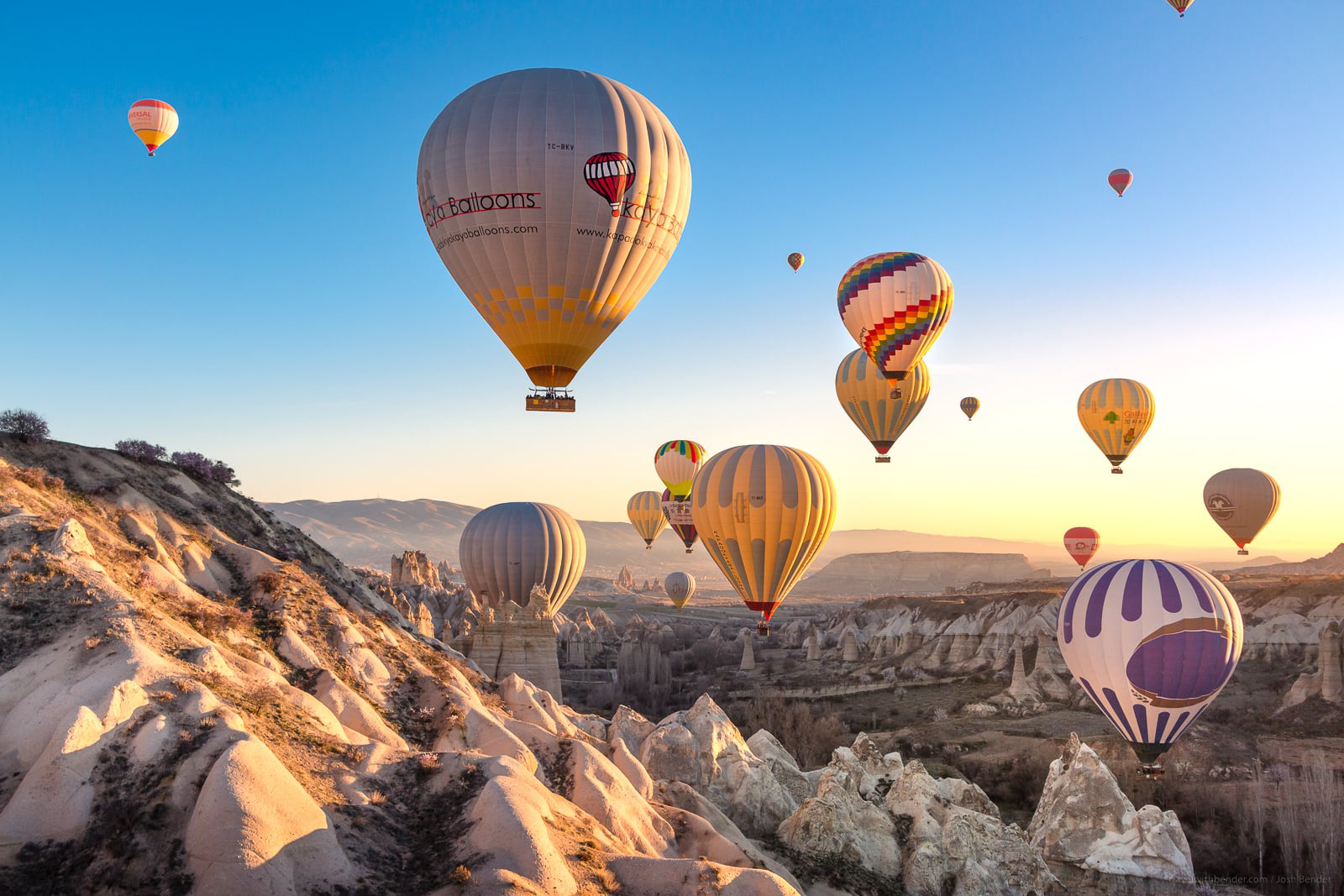 image of turkey