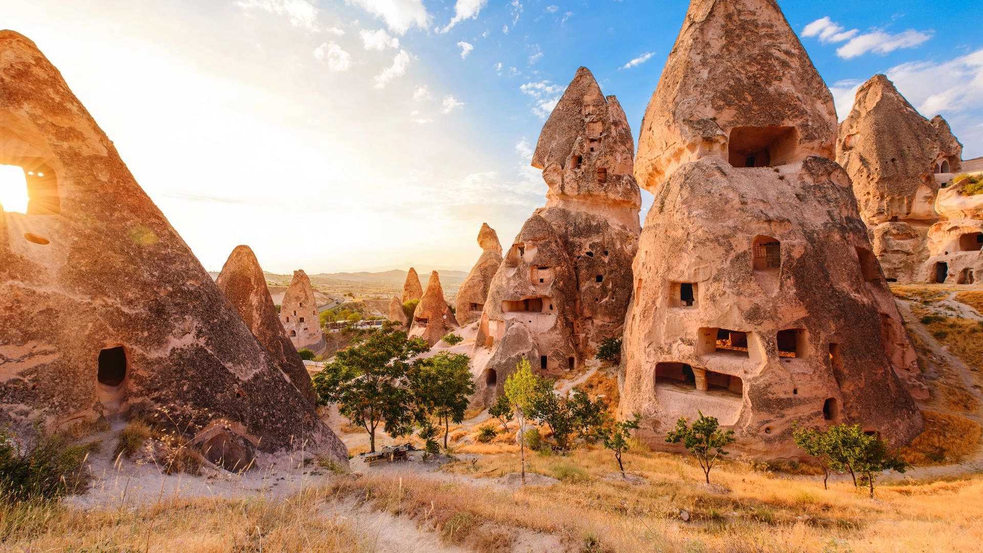 image of turkey
