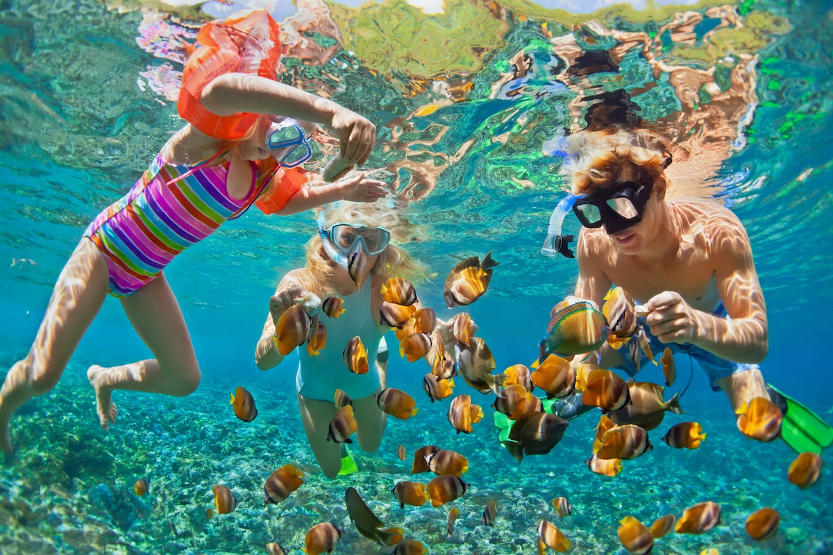 image of maldives