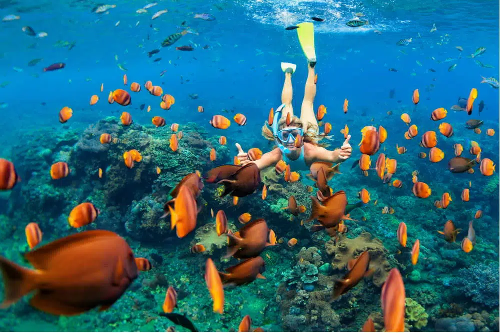 image of thailand