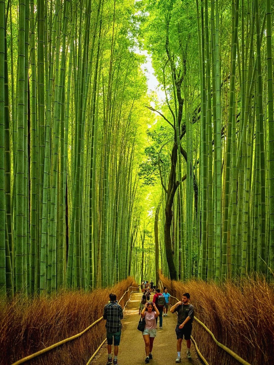 image of japan