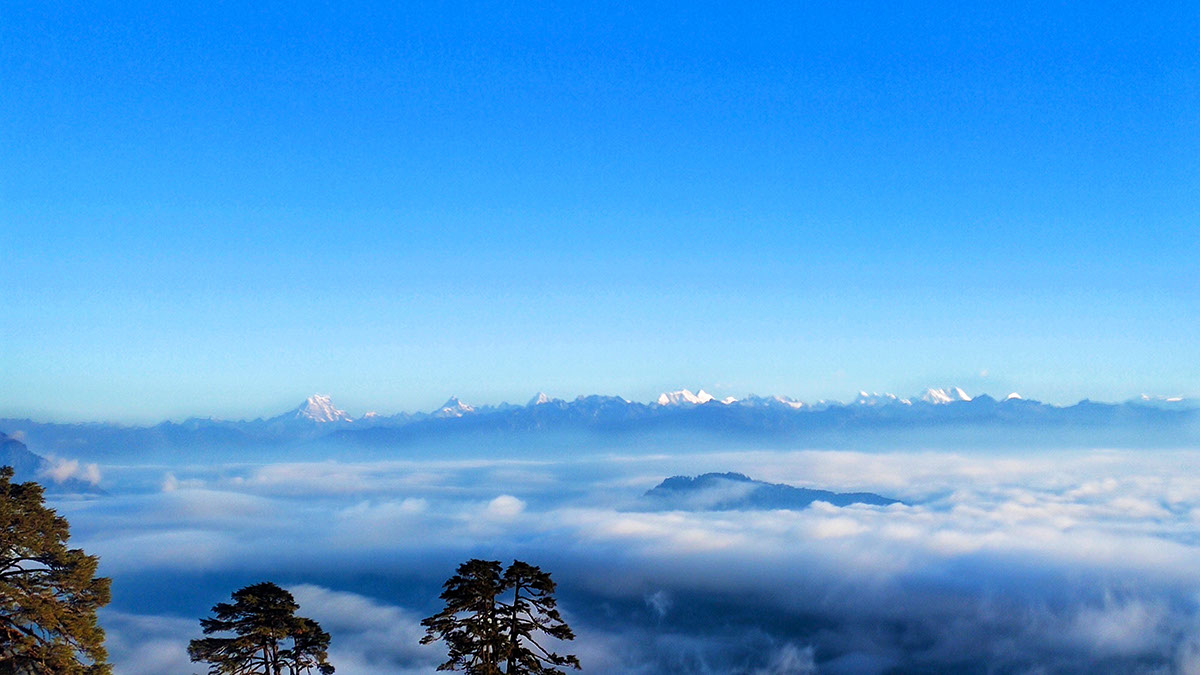 Himaliya View
