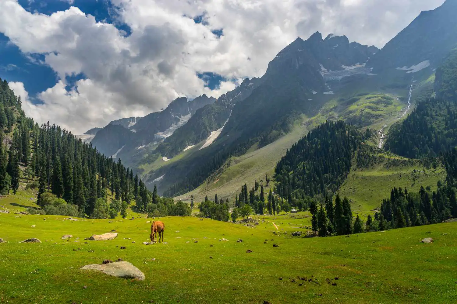 kashmir Tour