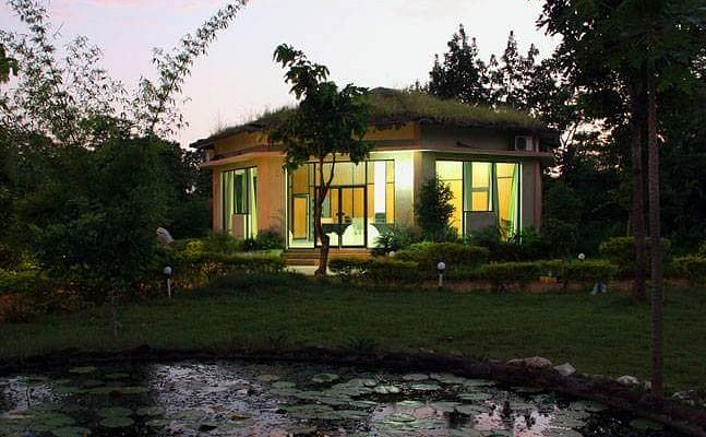 Royal Jungle Retreat