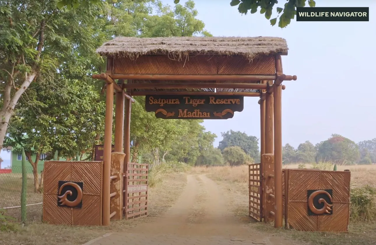 Satpura Royal Wilderness Escape