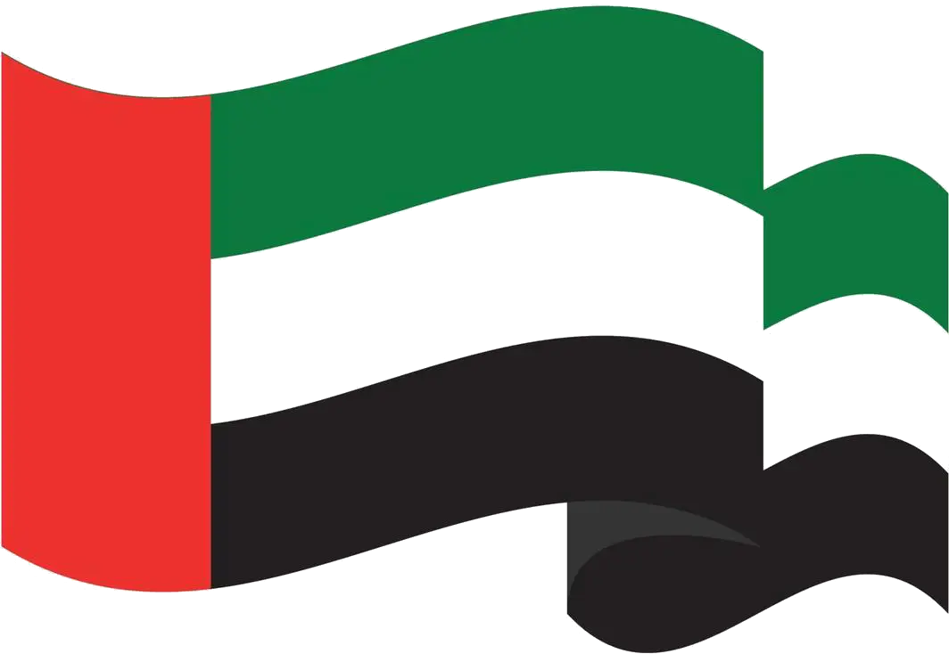 dubai flag image